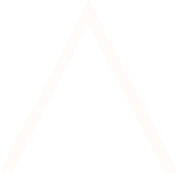 daniele-tosini.pages.dev favicon
